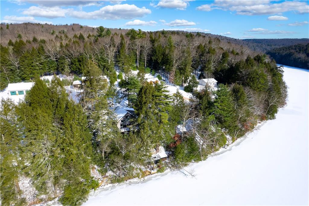 162 East Maple Lane Clarion, PA 16214 - Photo 41 of 49 a view of a lot of trees and mountains