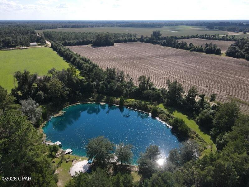 0 Ditty Road Bascom, FL 32423 - Photo 1 of 34