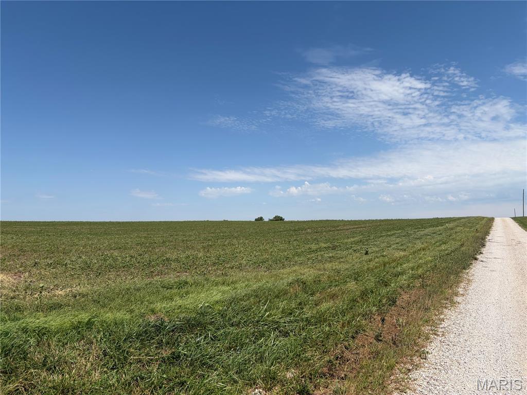 96.59 Acres Rock Road Bellflower, MO 63333 - Photo 16 of 21