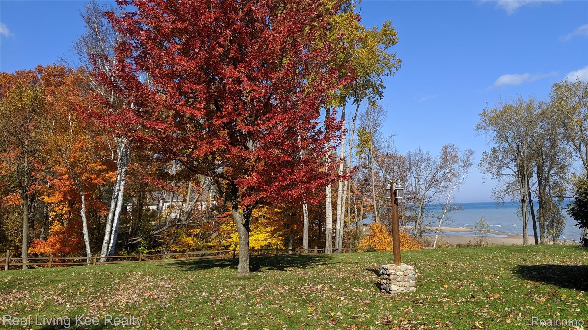 6654 Lakeshore Road North Palms, MI 48465 - Photo 67 of 74 EaglesNest067.jpg