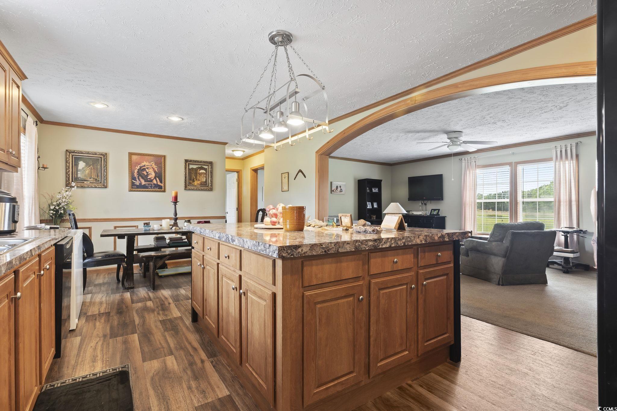 6608 Black Creek Road Nichols, SC 29581 - Photo 11 of 37