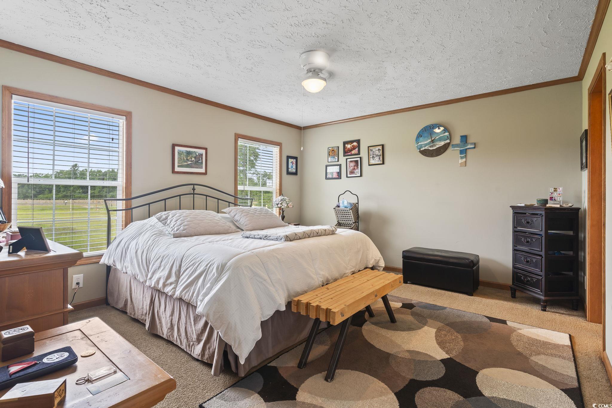 6608 Black Creek Road Nichols, SC 29581 - Photo 21 of 37