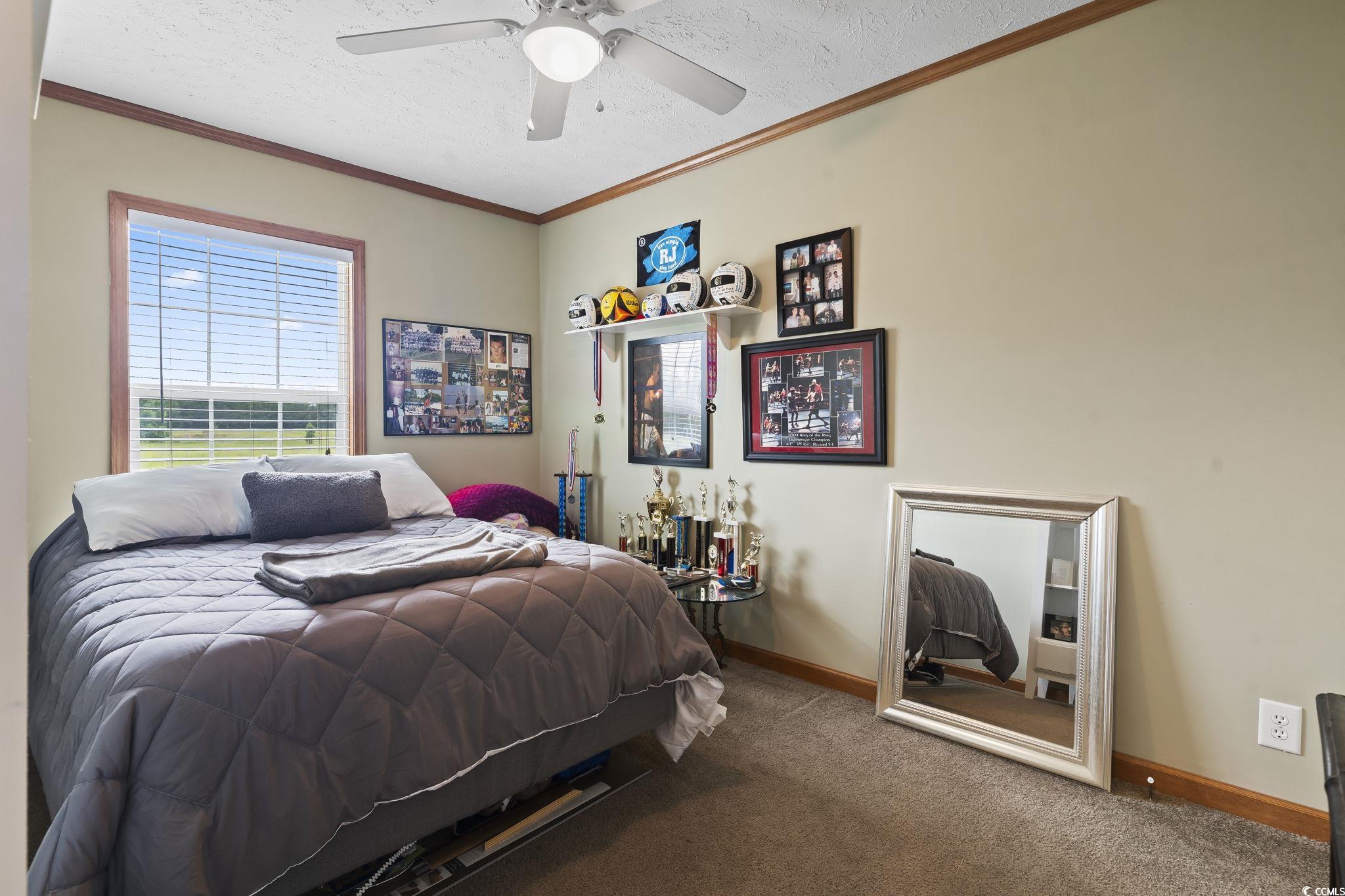 6608 Black Creek Road Nichols, SC 29581 - Photo 26 of 37