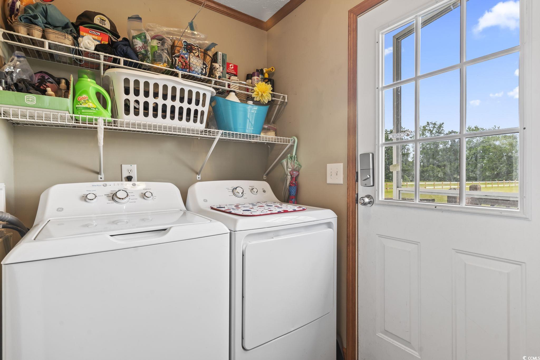 6608 Black Creek Road Nichols, SC 29581 - Photo 29 of 37