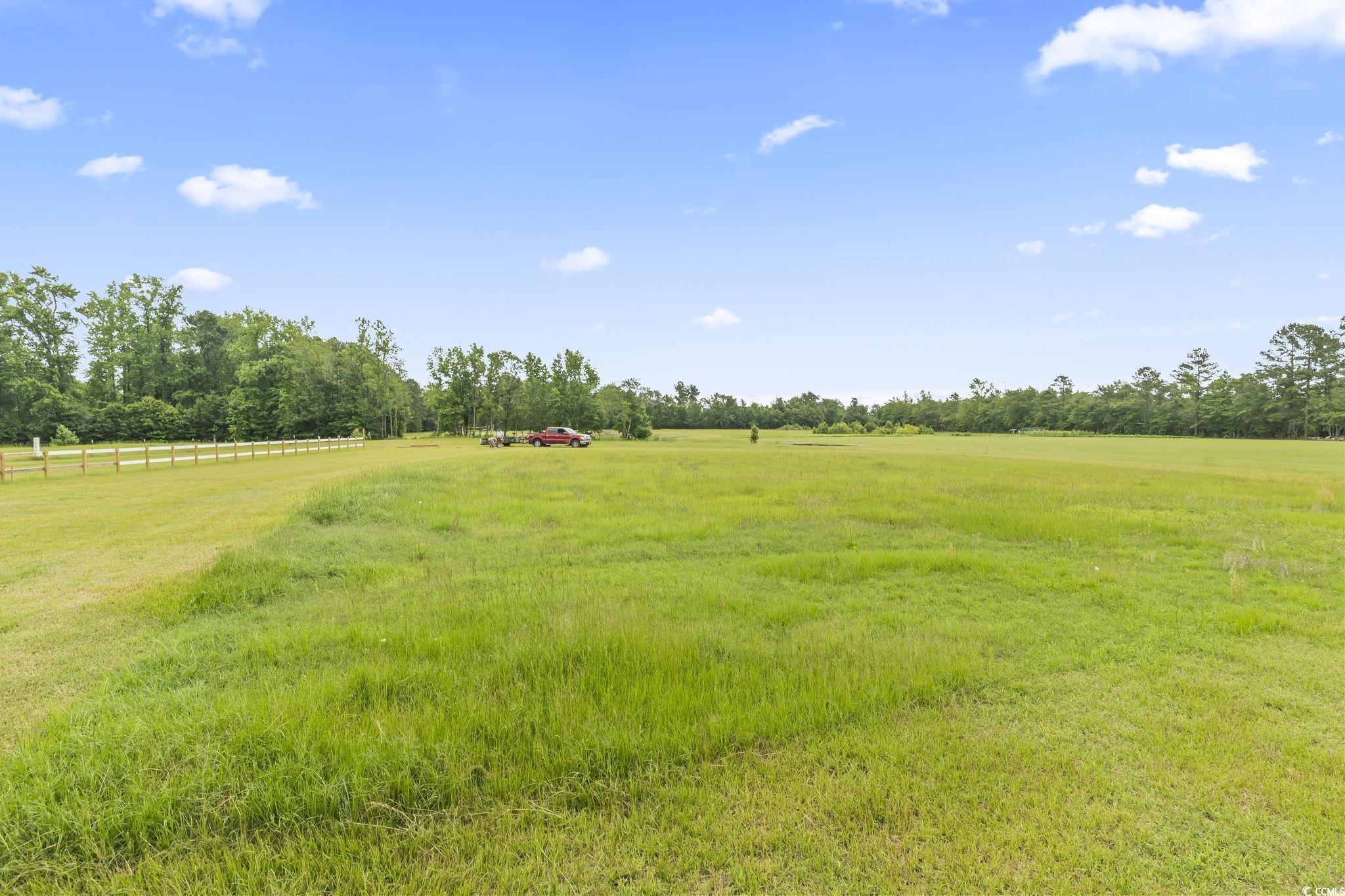 6608 Black Creek Road Nichols, SC 29581 - Photo 5 of 37