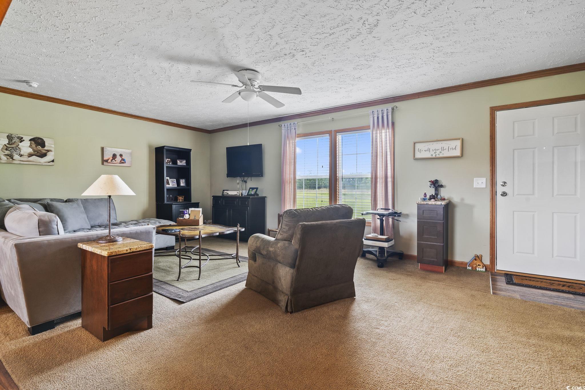 6608 Black Creek Road Nichols, SC 29581 - Photo 8 of 37