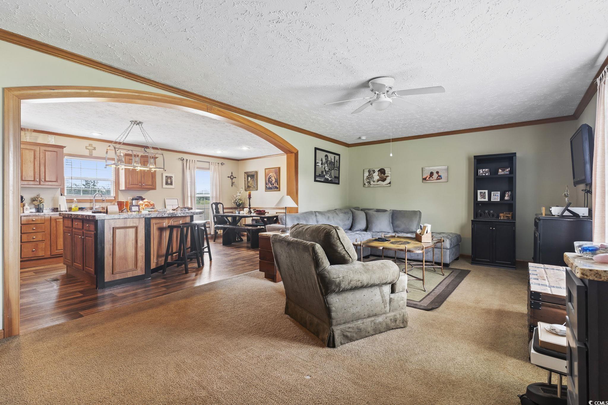 6608 Black Creek Road Nichols, SC 29581 - Photo 8 of 37