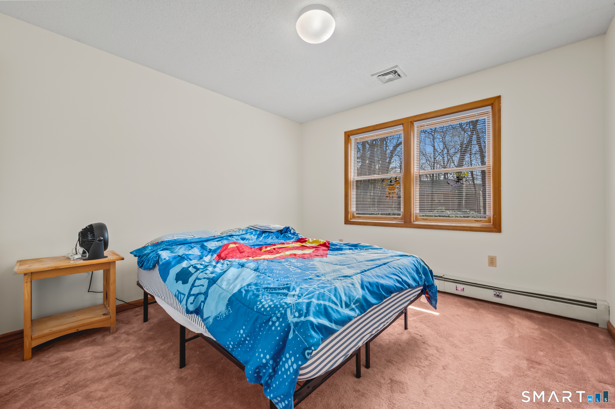 47 Wappingwood Road Ellington, CT 06029 - Photo 34 of 39