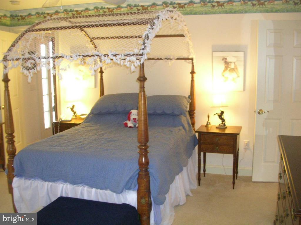 313 Walnut Run Road Willow Street, PA 17584 - Photo 43 of 68 Gallery Image 43