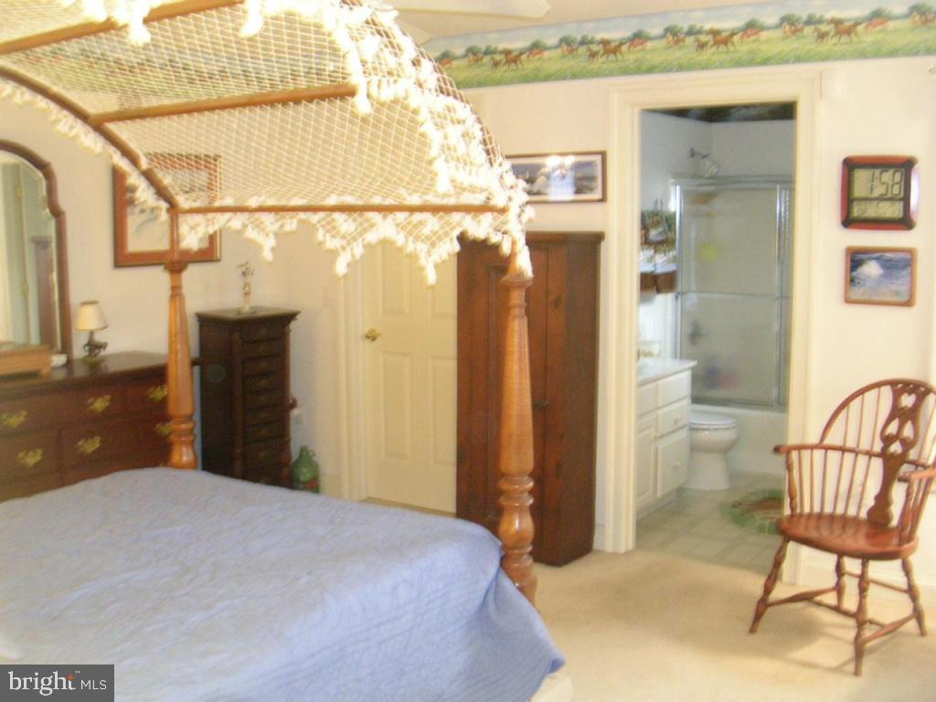 313 Walnut Run Road Willow Street, PA 17584 - Photo 44 of 68 Gallery Image 44