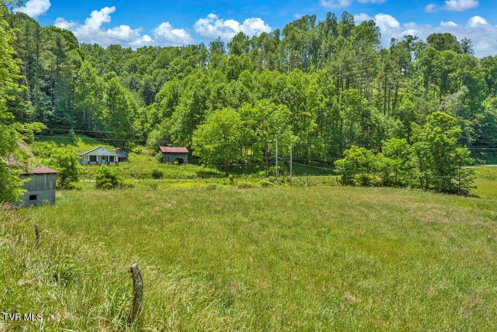 150 Fred Price Road Mountain City, TN 37683 - Photo 23 of 35 25