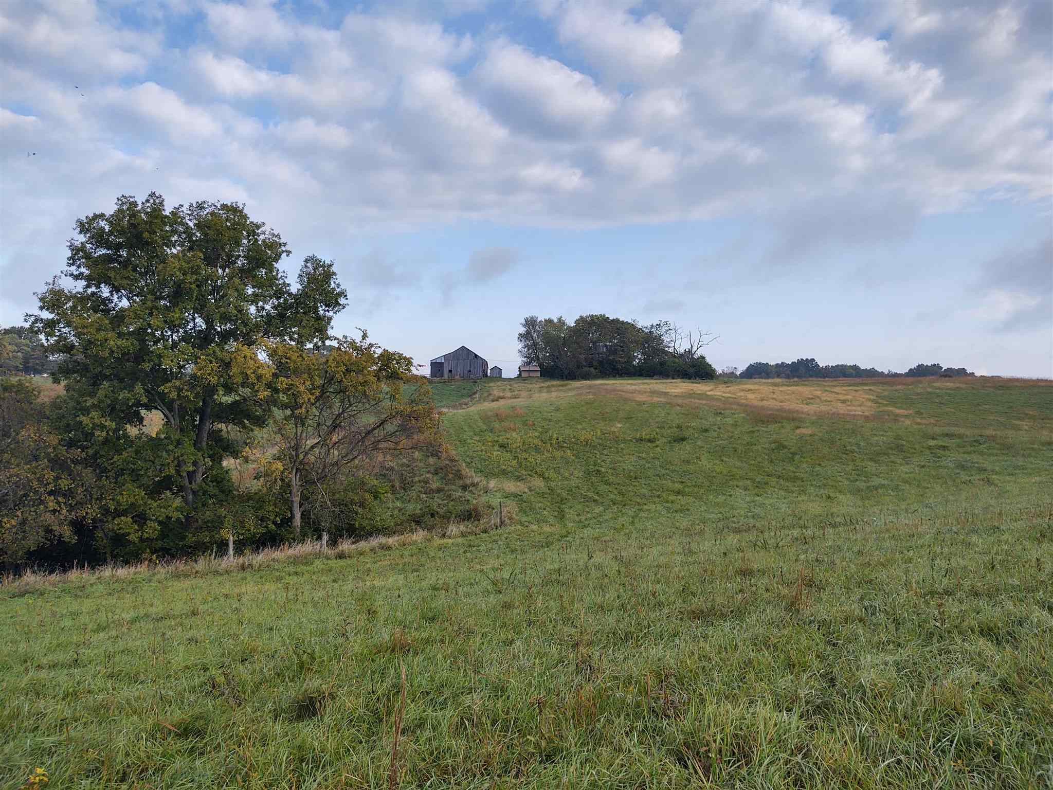 165 Poplar Thicket Road Alexandria, KY 41001 - Photo 6 of 16 Gallery Image 6
