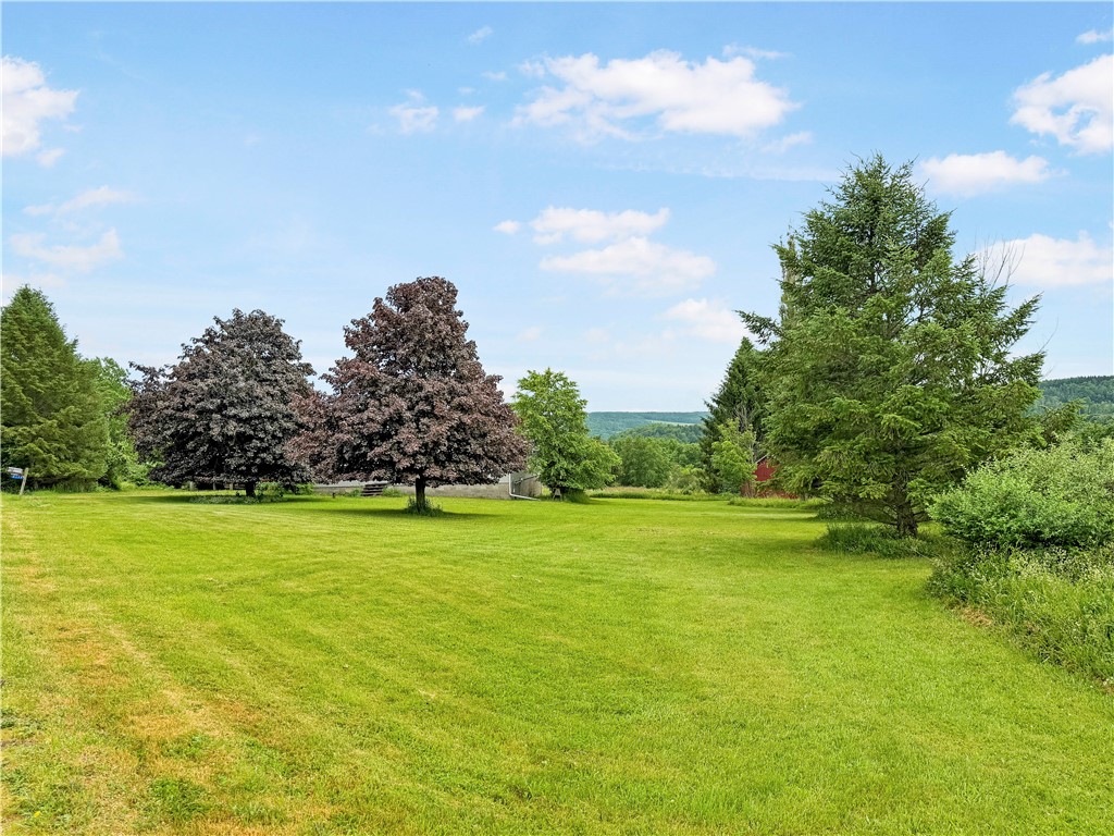 2179 Williams Road Rathbone, NY 14801 - Photo 10 of 36