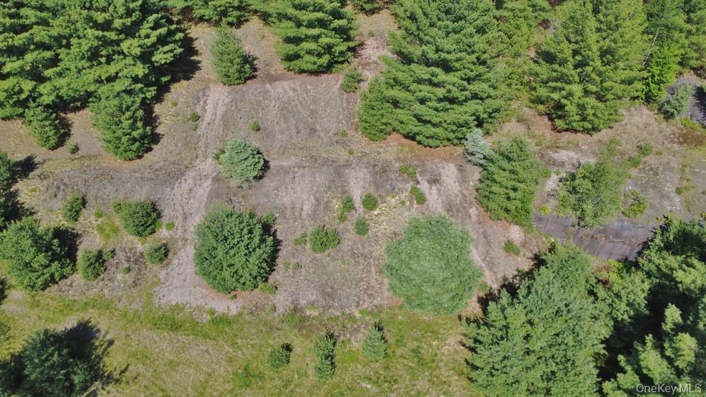Marsh Road Fallsburg, NY 12733 - Photo 18 of 20