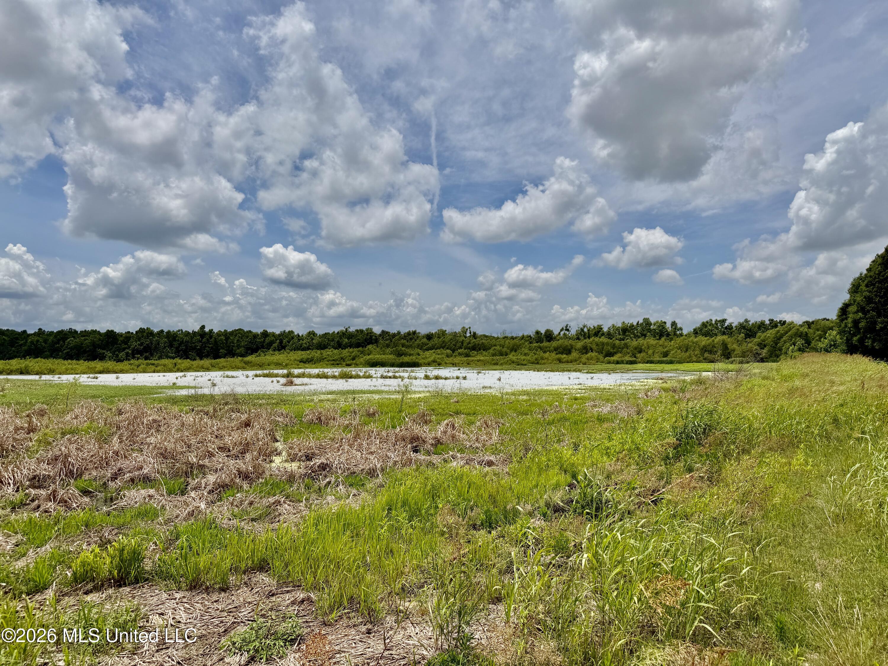 Airport Road Greenwood, MS 38930 - Photo 2 of 9 IMG_3376