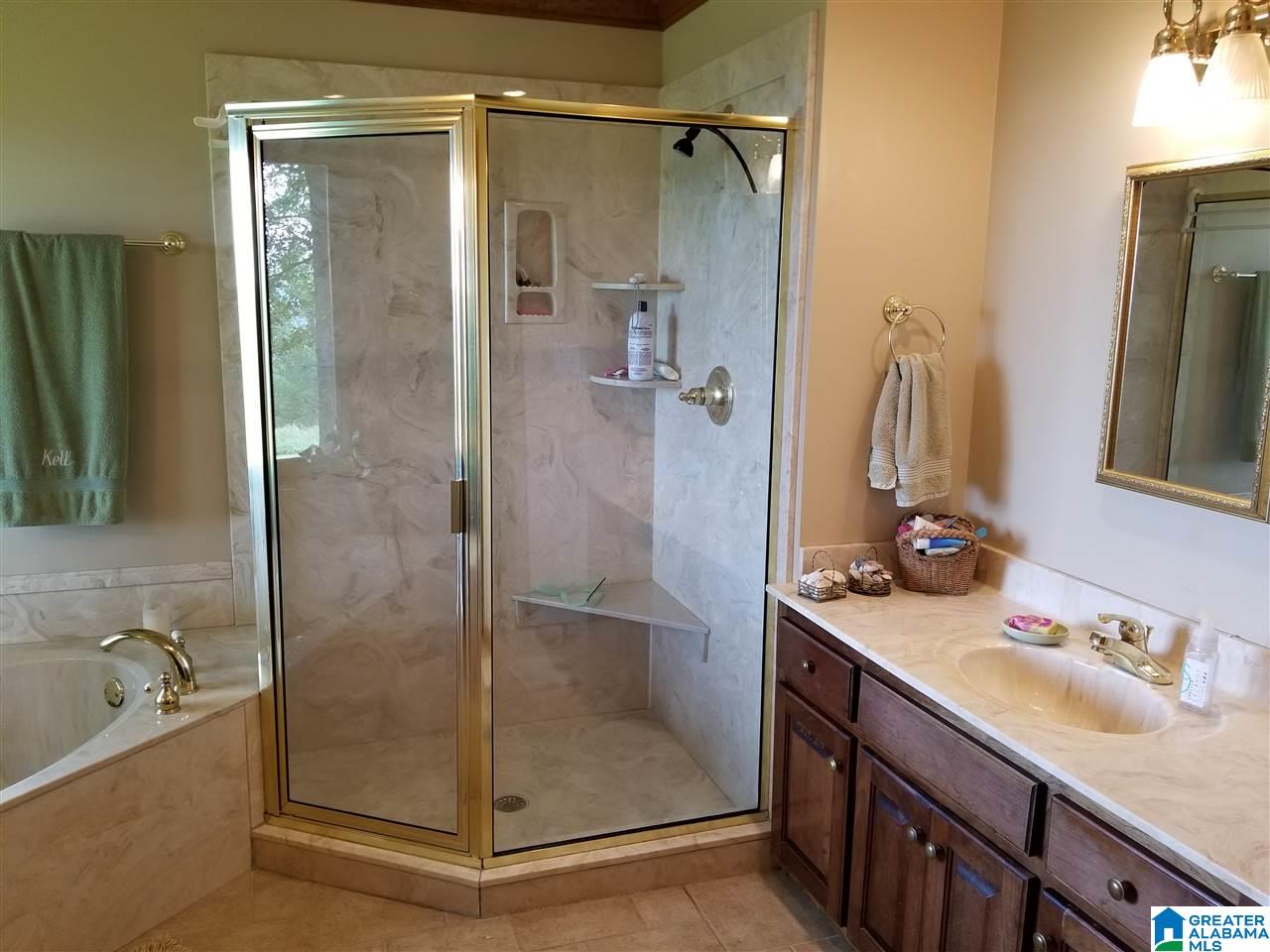 5381 Chandler Mountain Road Steele, AL 35987 - Photo 12 of 27