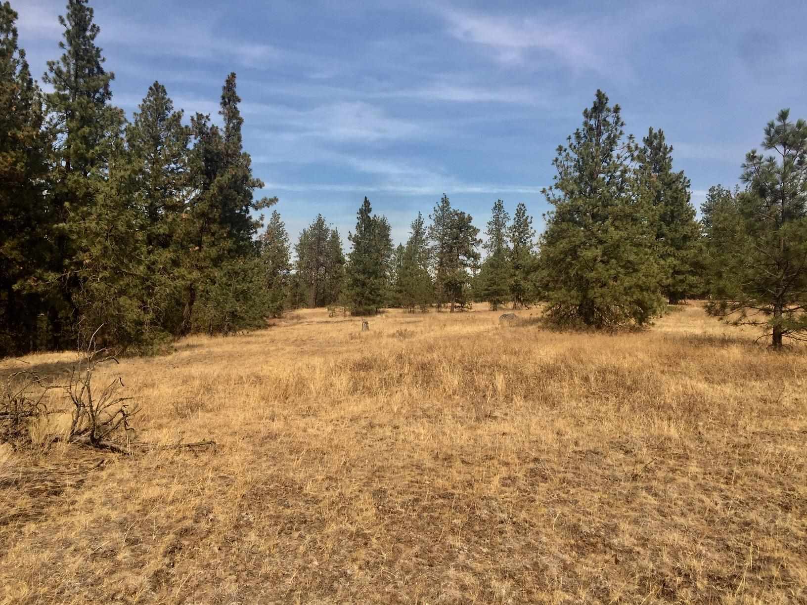 1790 South Stentz Road Spangle, WA 99031 - Photo 7 of 27