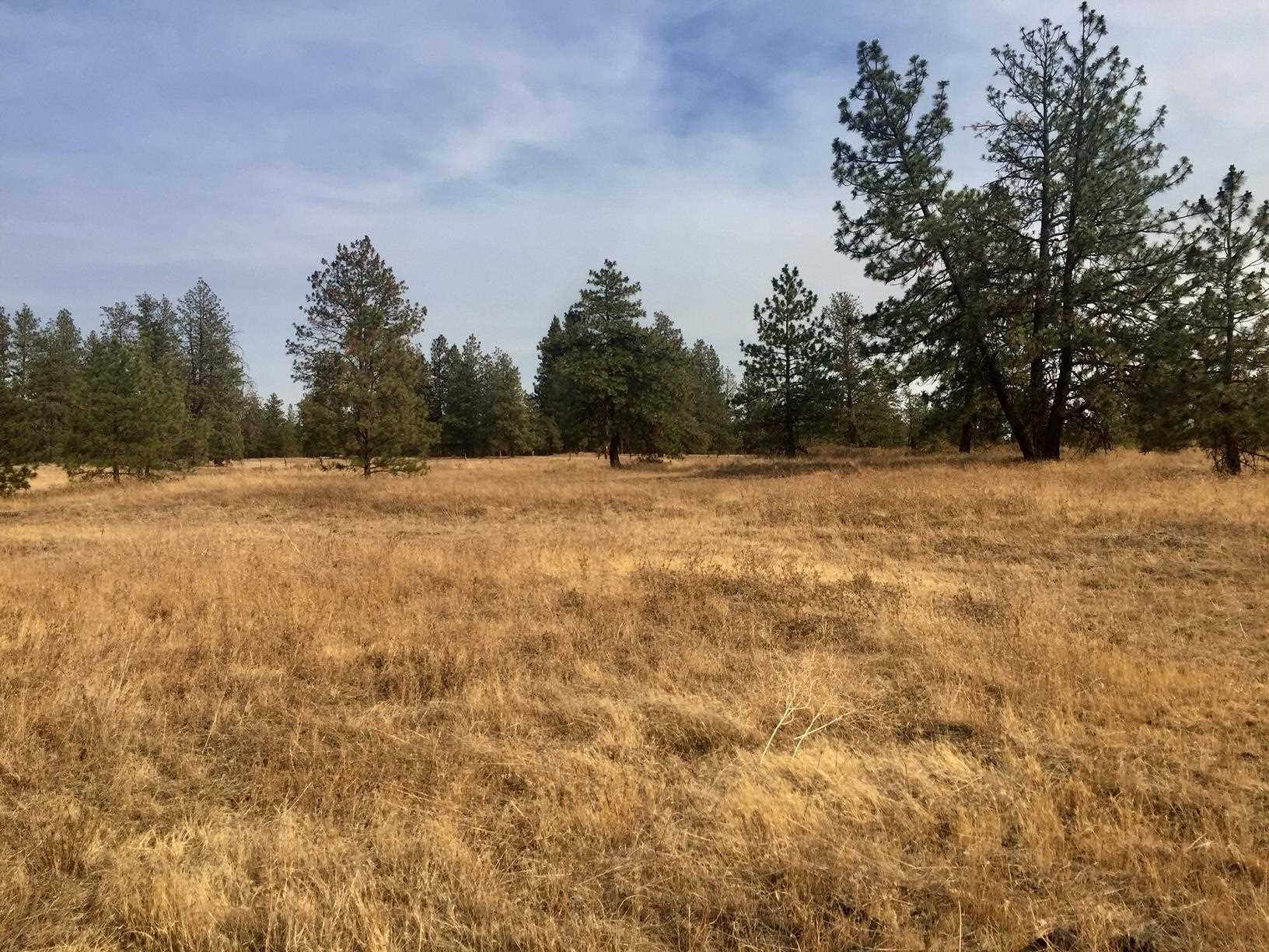 1790 South Stentz Road Spangle, WA 99031 - Photo 8 of 27