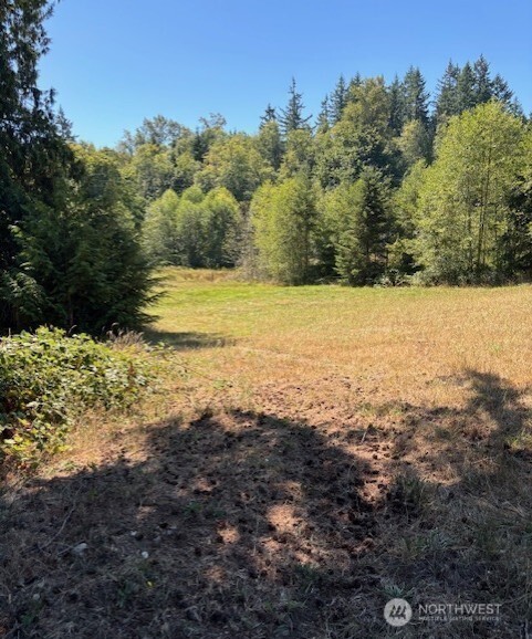 a view of an ocean beach