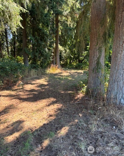 9722 South Lake Stevens Road Lake Stevens, WA 98258 - Photo 3 of 4 a view of a yard with plants and large trees