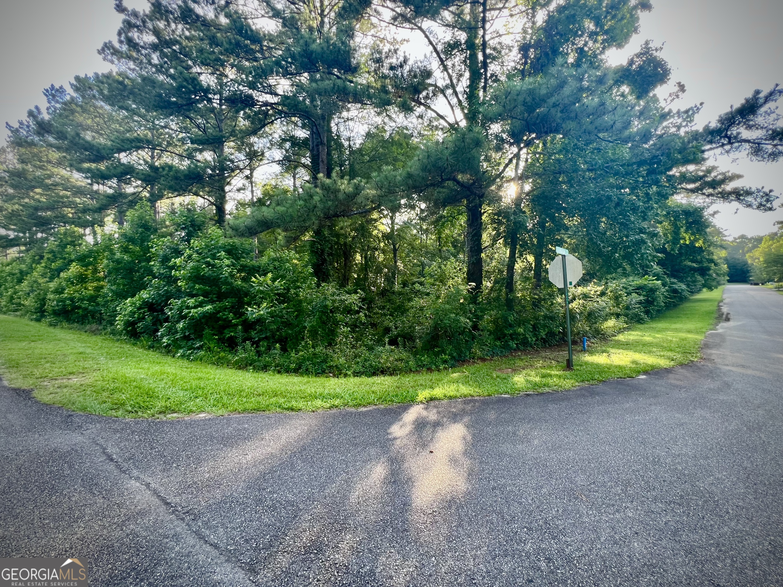 0 Cameron Court Dublin, GA 31021 - Photo 11 of 11 a view of road and trees in the background