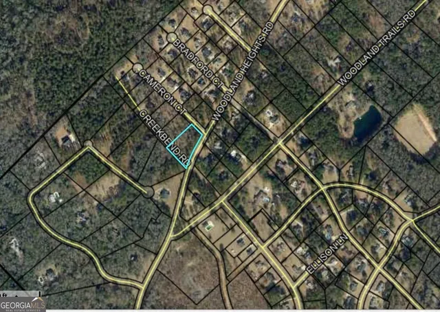 a green field with lots of trees