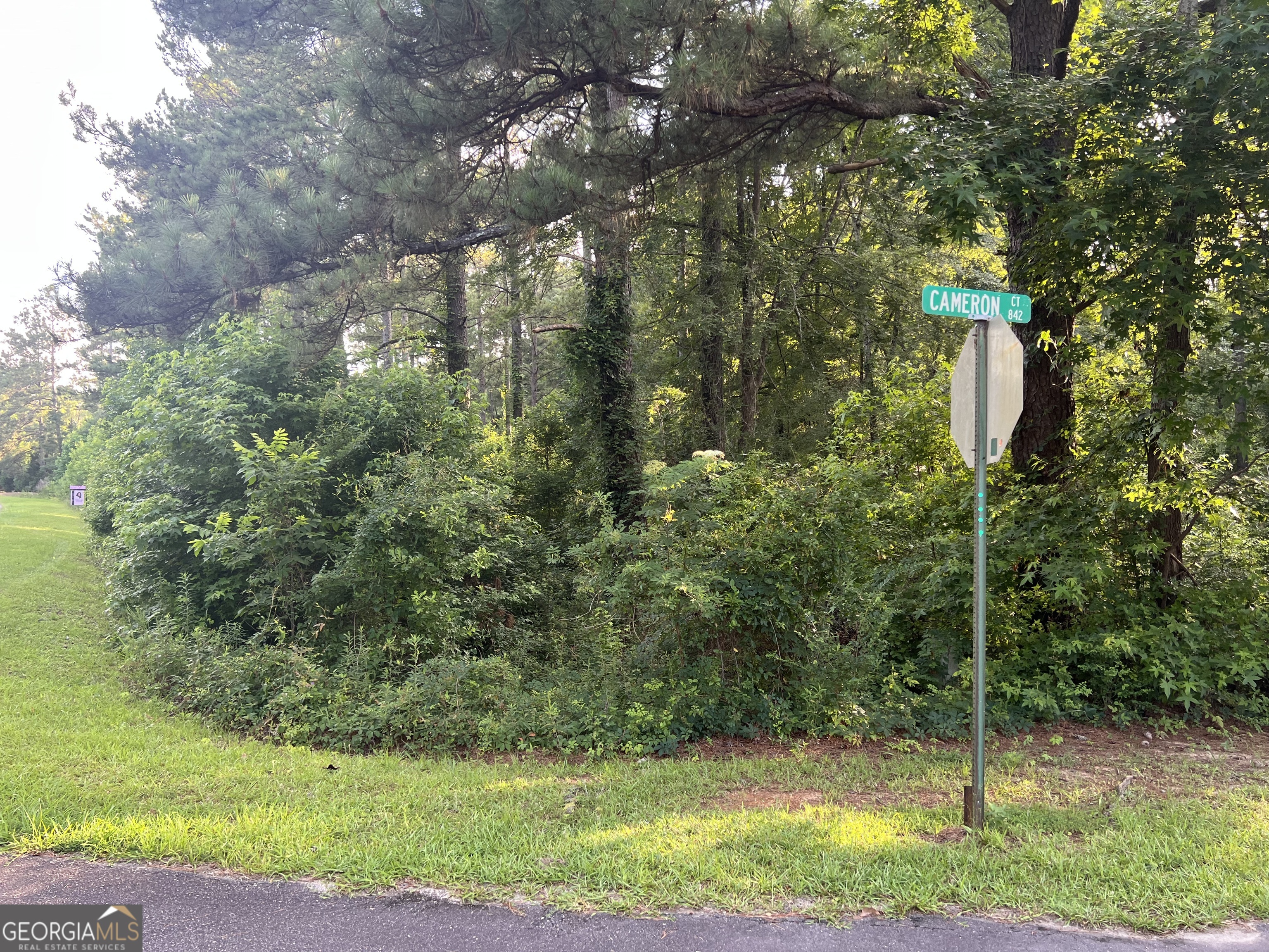 0 Cameron Court Dublin, GA 31021 - Photo 3 of 11 a green field with lots of trees
