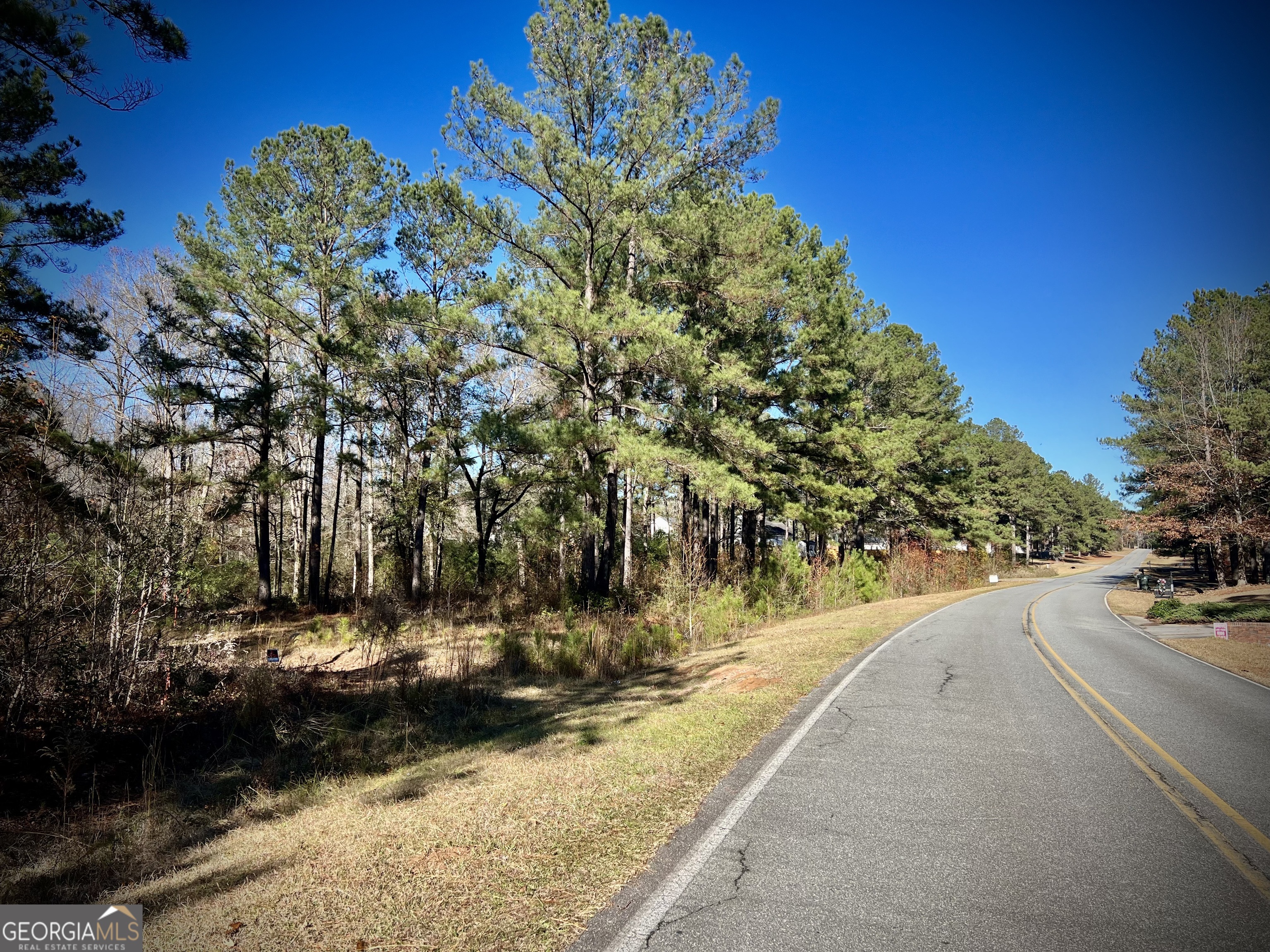 0 Cameron Court Dublin, GA 31021 - Photo 4 of 11 a view of a city street