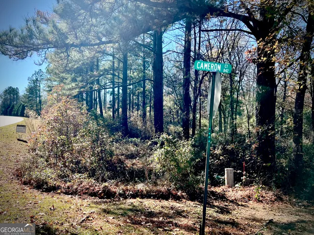 a view of a backyard with large trees