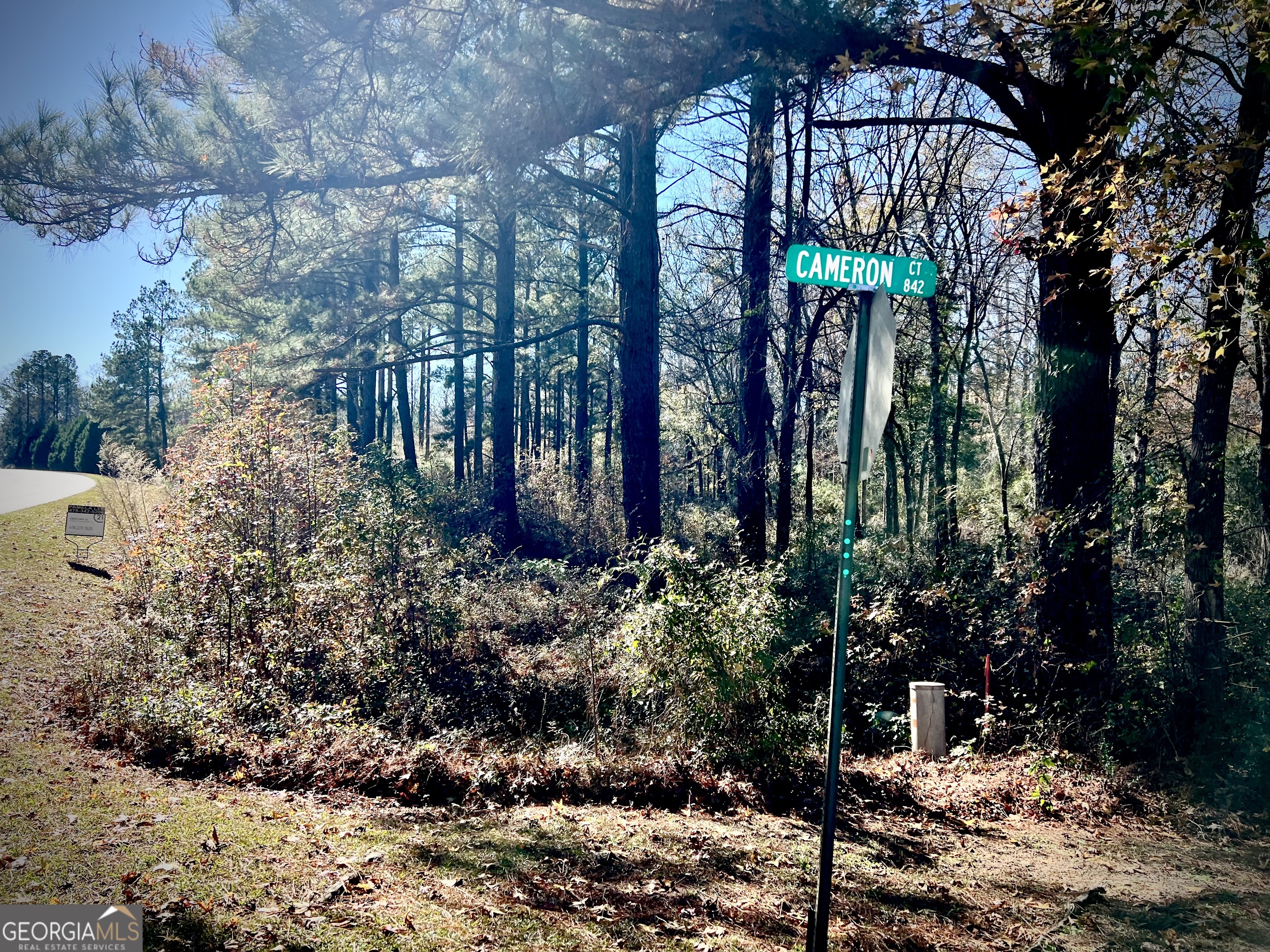0 Cameron Court Dublin, GA 31021 - Photo 6 of 11 a view of a pathway of the house and tree