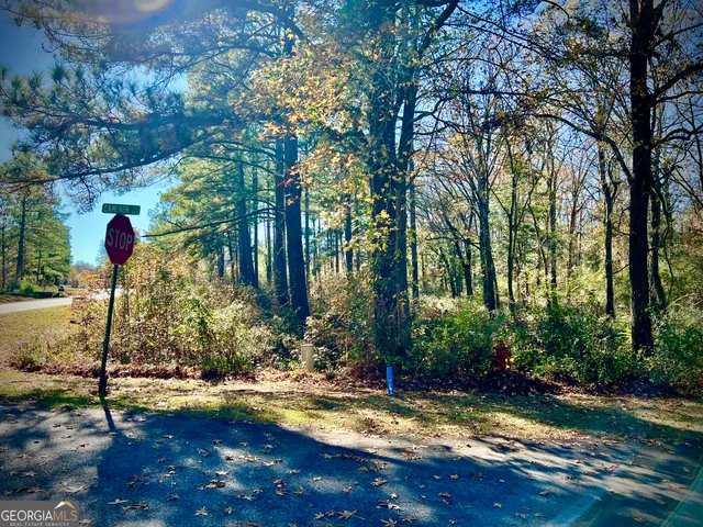 a view of road and trees
