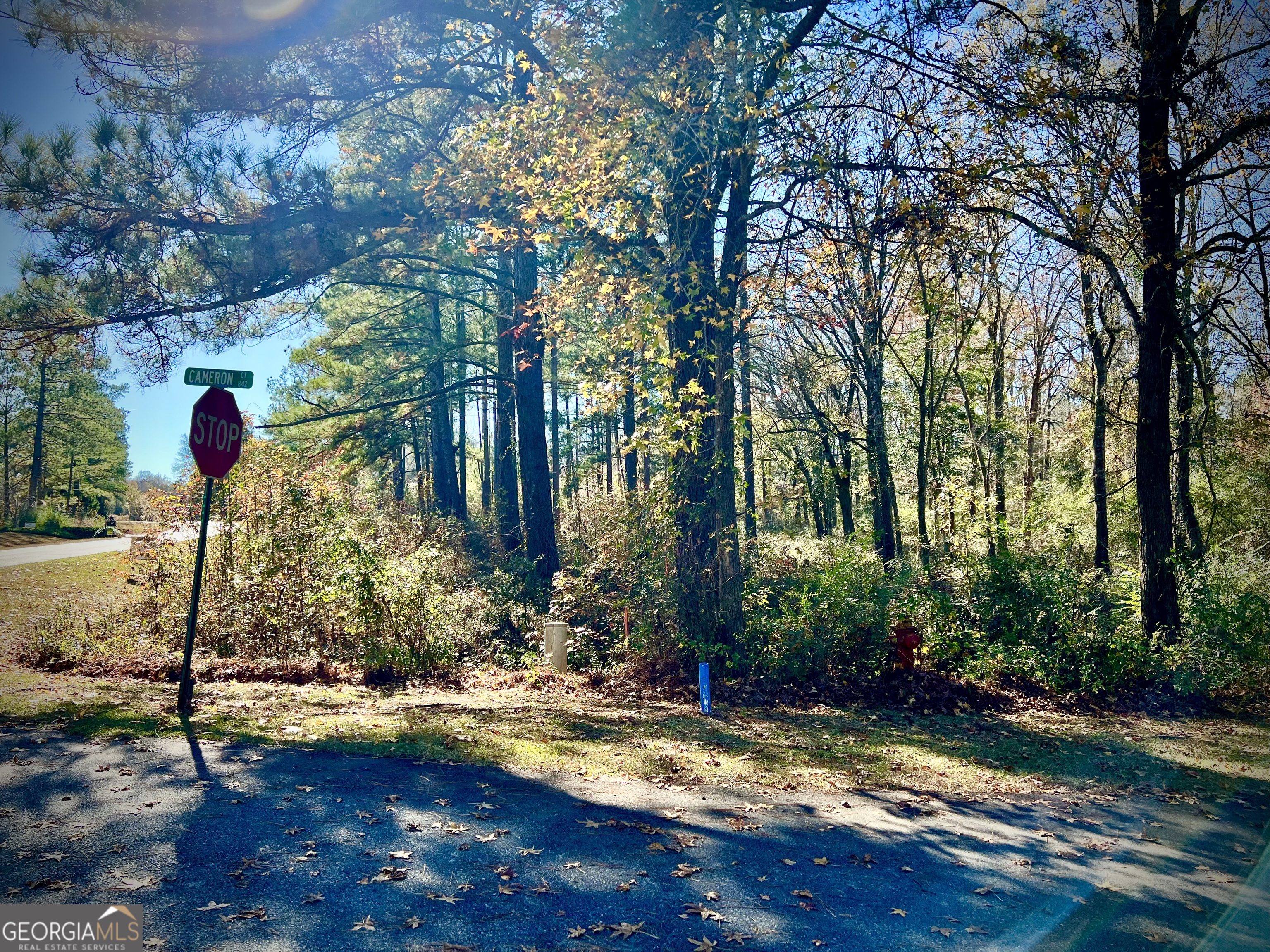 0 Cameron Court Dublin, GA 31021 - Photo 7 of 11 a view of a backyard with large trees