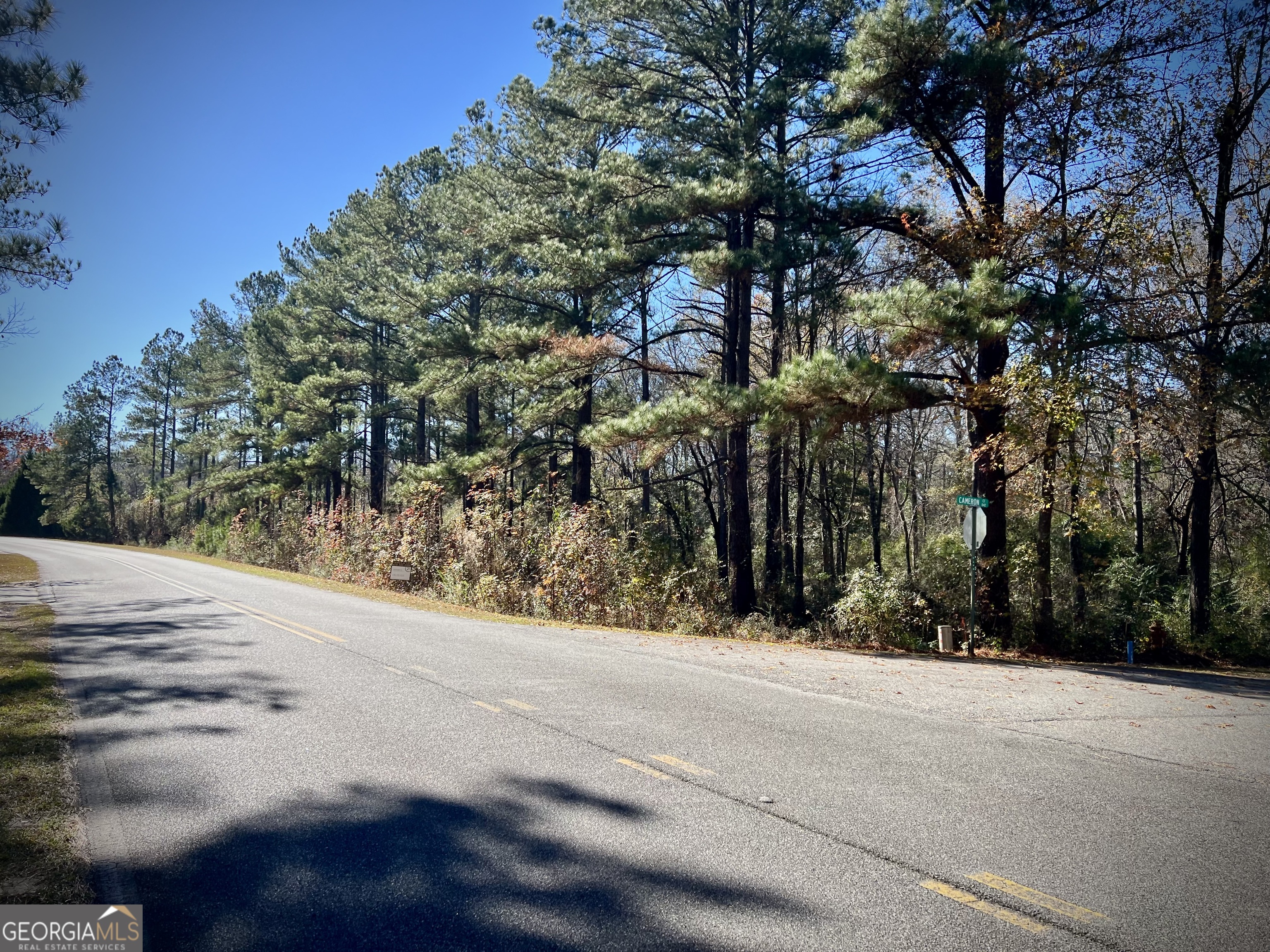 0 Cameron Court Dublin, GA 31021 - Photo 8 of 11 a view of road and trees
