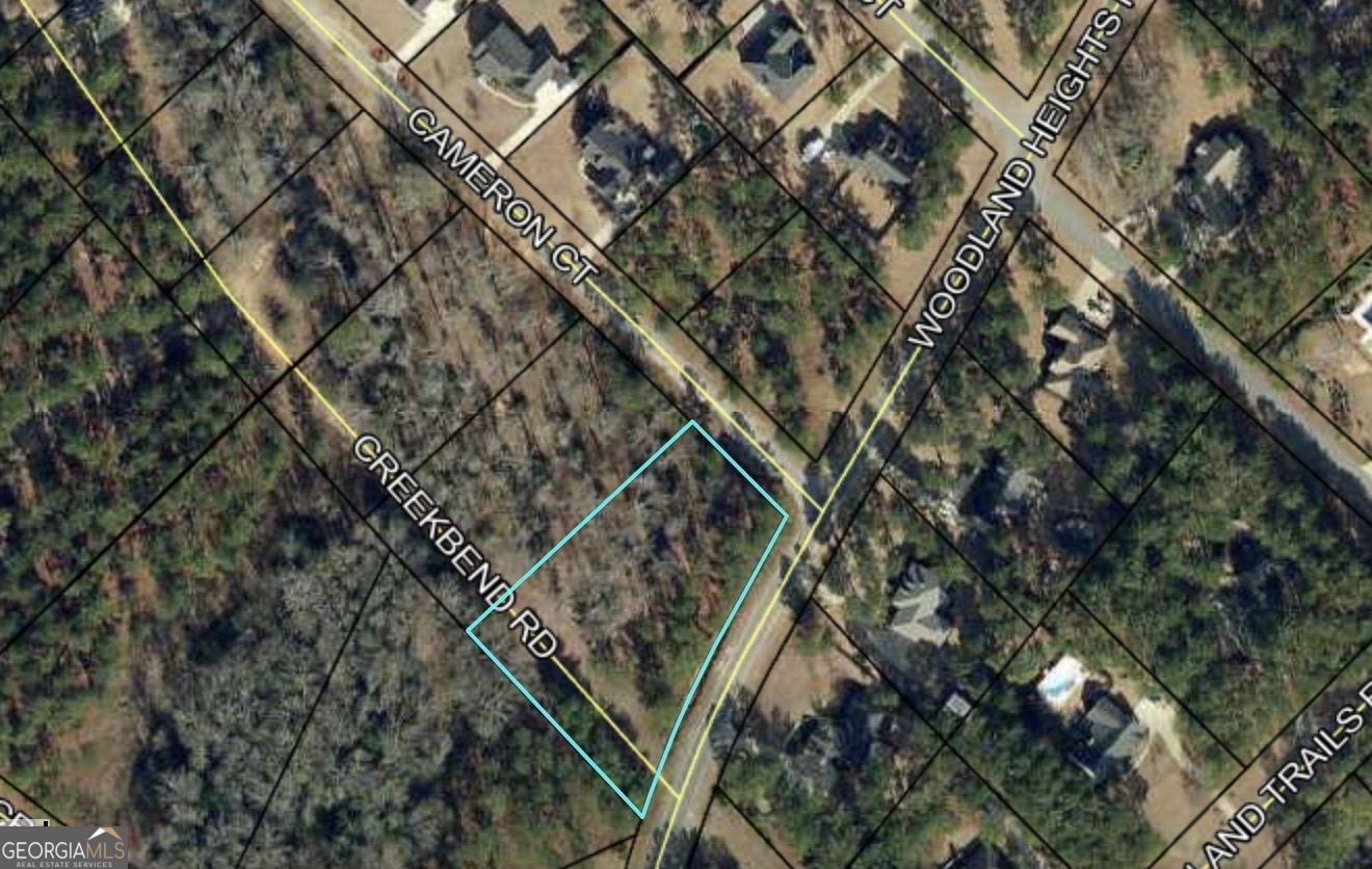 0 Cameron Court Dublin, GA 31021 - Photo 10 of 11 a bird view of buildings