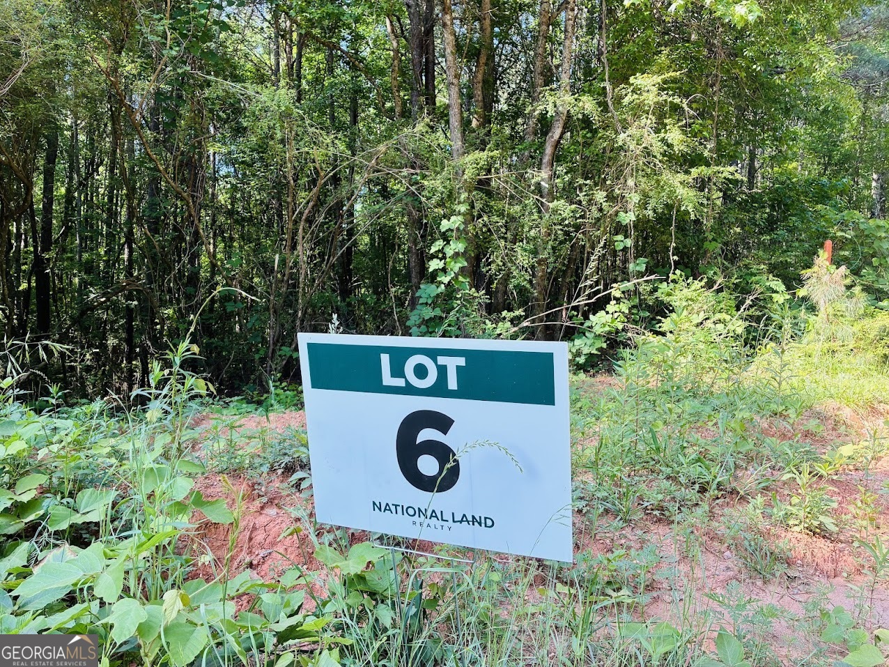 0 Creek Road, Unit LOT 6 Ashland, AL 36251 - Photo 1 of 17
