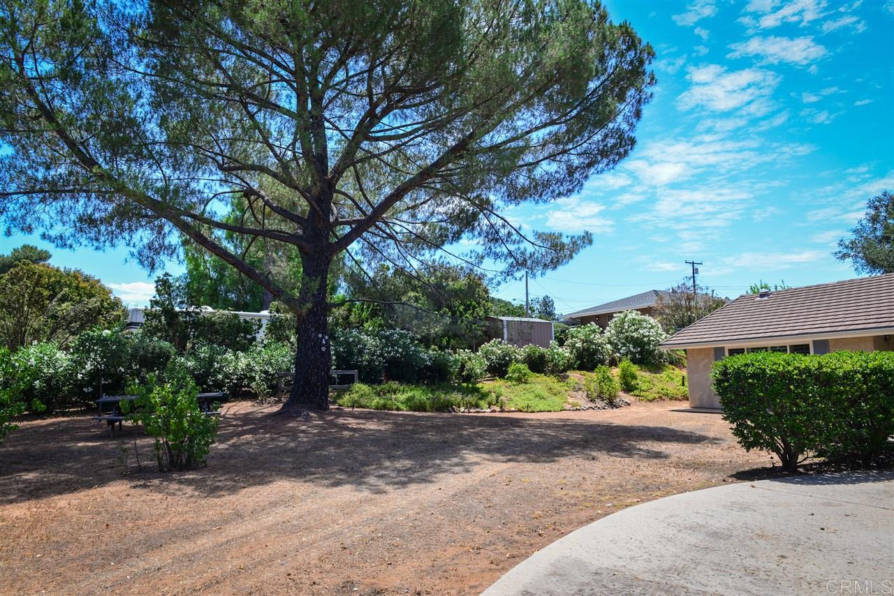 2831 Olive View Road Alpine, CA 91901 - Photo 5 of 24