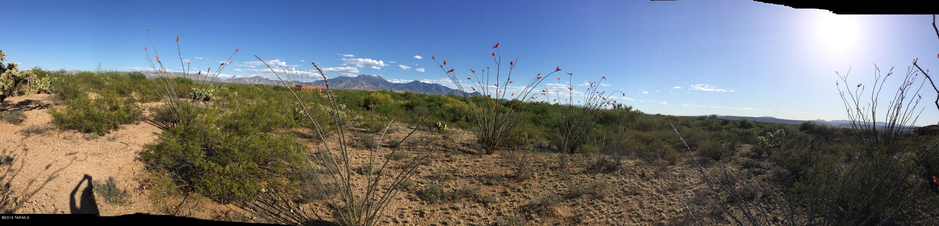 201 North Rustic Ridge Place, Unit 47 Sahuarita, AZ 85629 - Photo 7 of 15