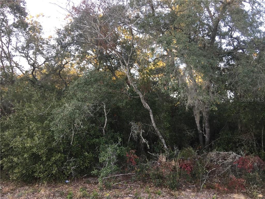 Southwest 137th Ocala, FL 34473 - Photo 1 of 1 Gallery Image 1