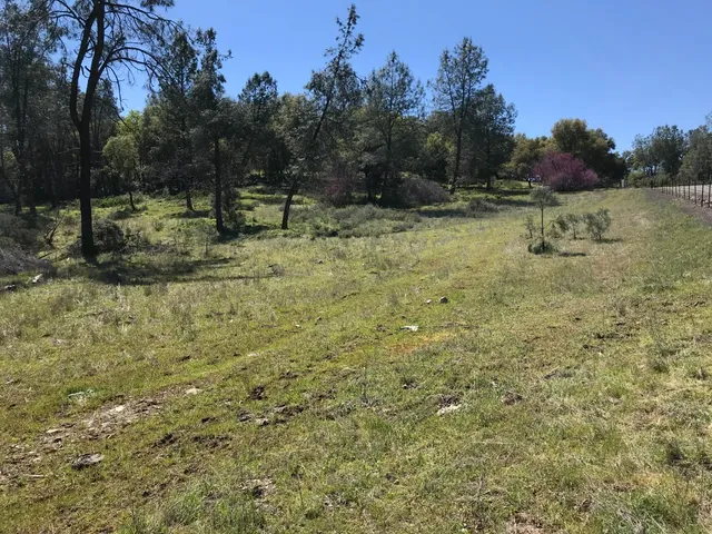 a view of a green field with trees