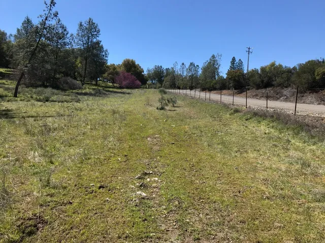 a view of a field with trees in the background
