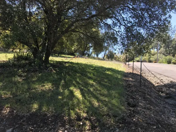 a view of yard with trees