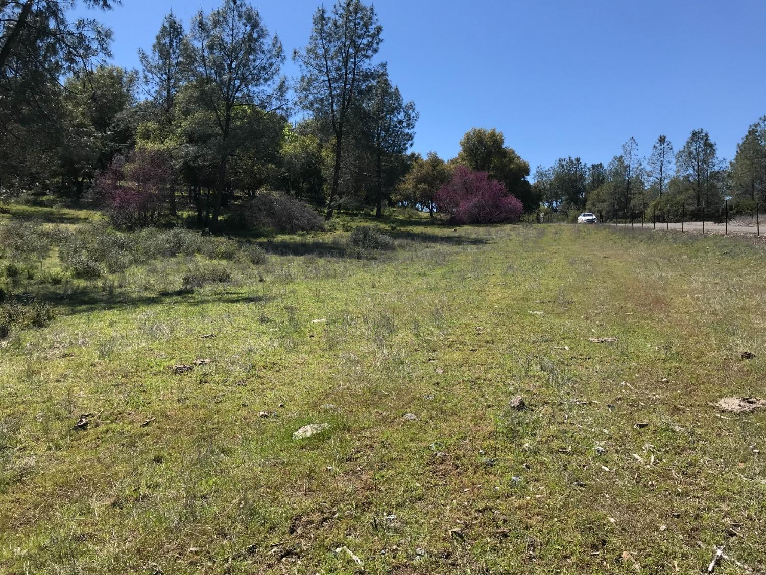 4890 Thompson Hill Road Placerville, CA 95667 - Photo 2 of 15 a view of a garden with trees