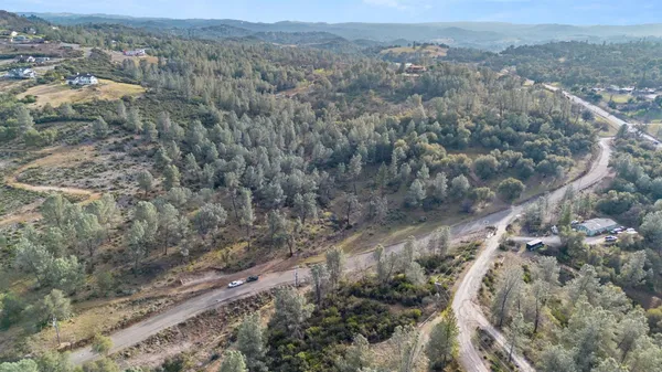 an aerial view of forest