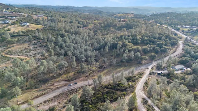 an aerial view of forest