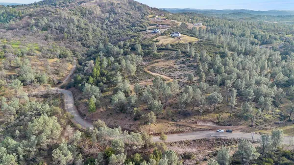 a view of a dry yard with green space and fog