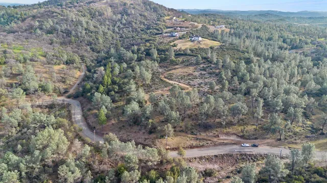 a view of a dry yard with green space and fog