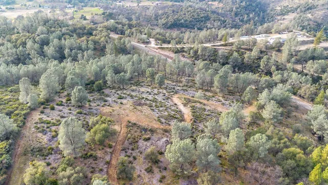 a view of a forest with a house