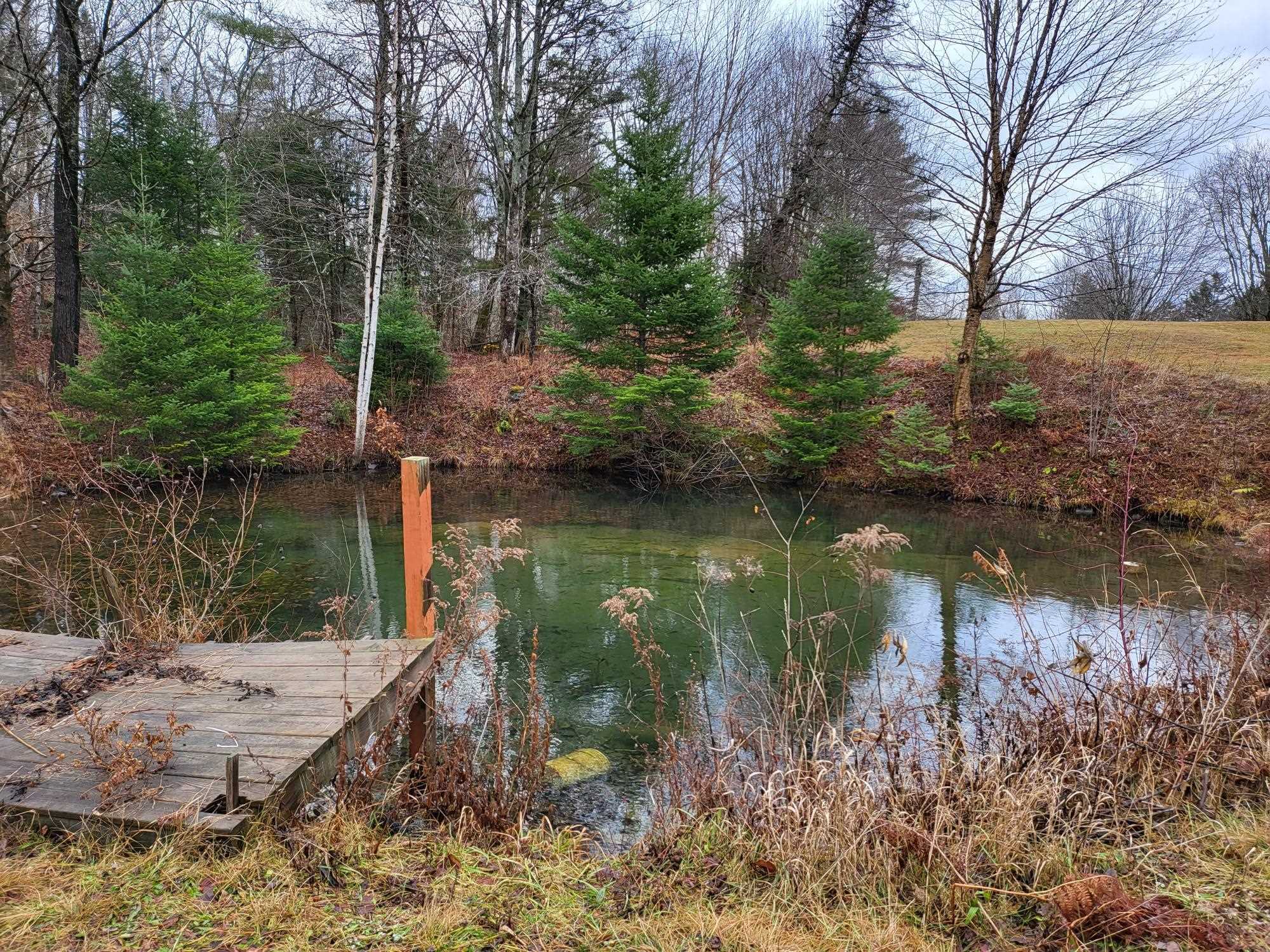 124 Scribner Road Woodbury, VT 05650 - Photo 24 of 26