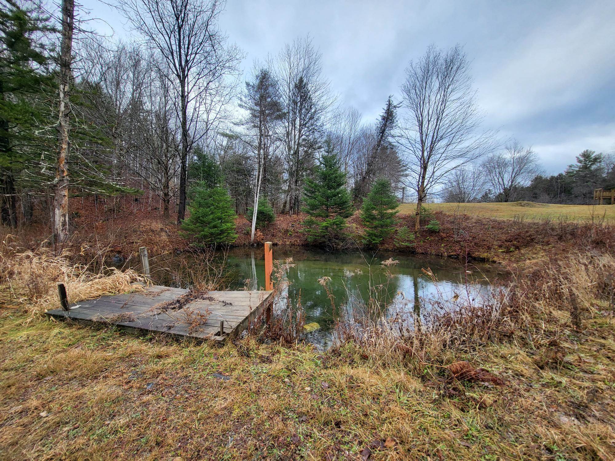 124 Scribner Road Woodbury, VT 05650 - Photo 25 of 26
