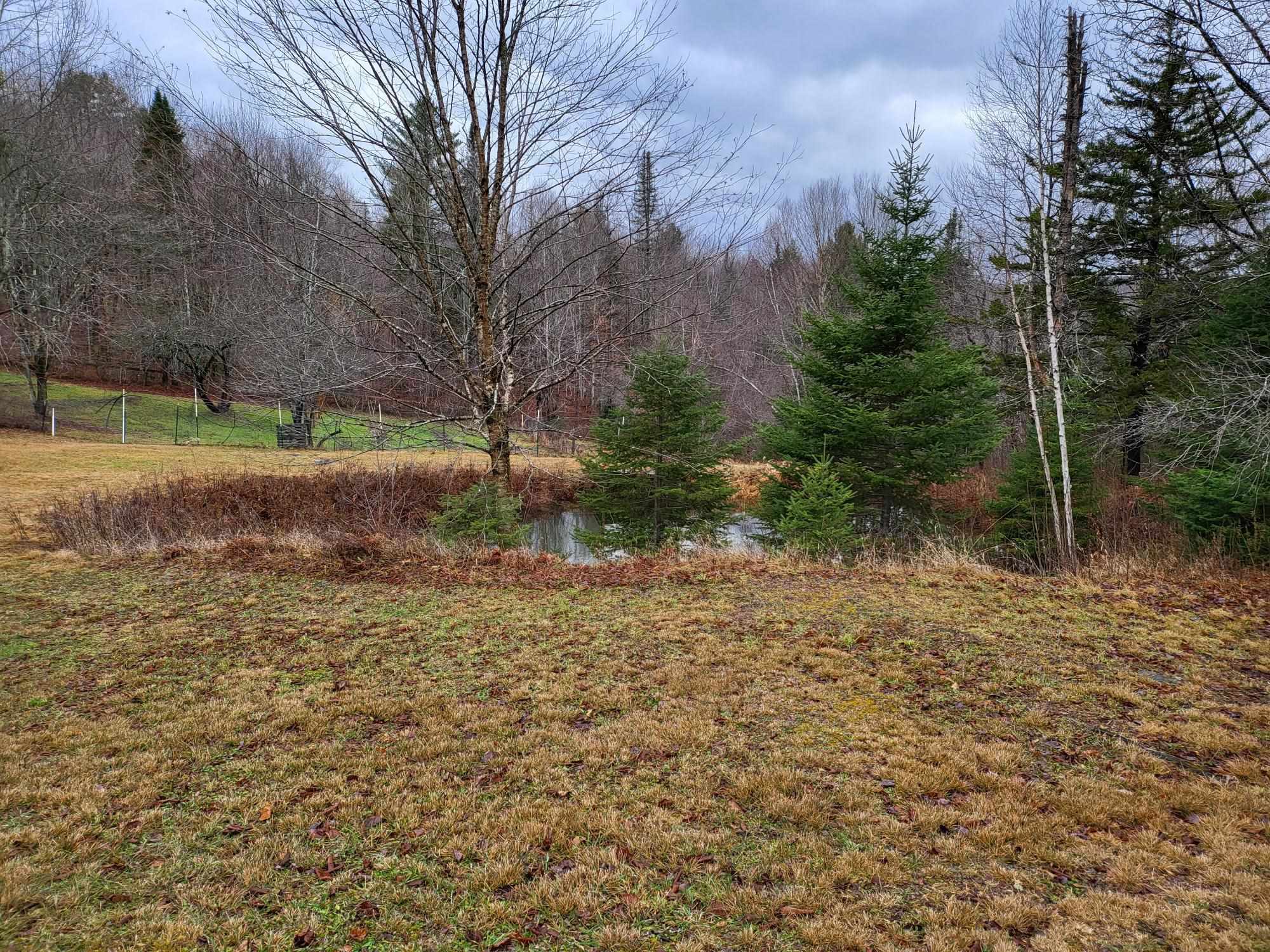 124 Scribner Road Woodbury, VT 05650 - Photo 26 of 26
